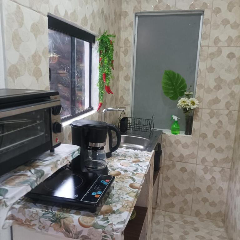 Miraflores 1- The greenhouse - One-Bedroom Apartment - 8