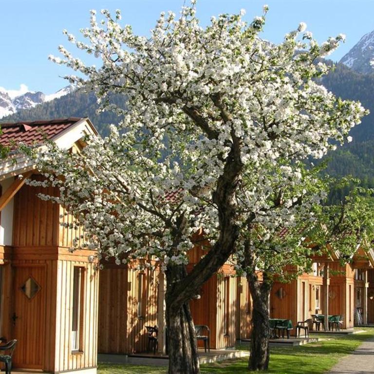 Alpencamp Kärnten - Glamping-Chalet - 15