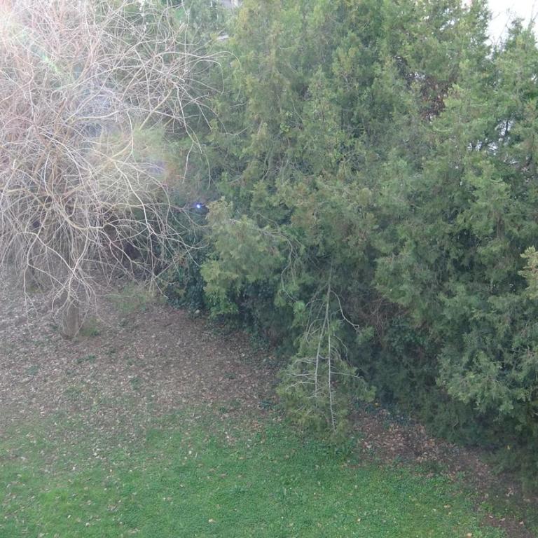 Appartement T3-4 meublé Toulouse Soupetard - Appartement 2 Chambres - 17