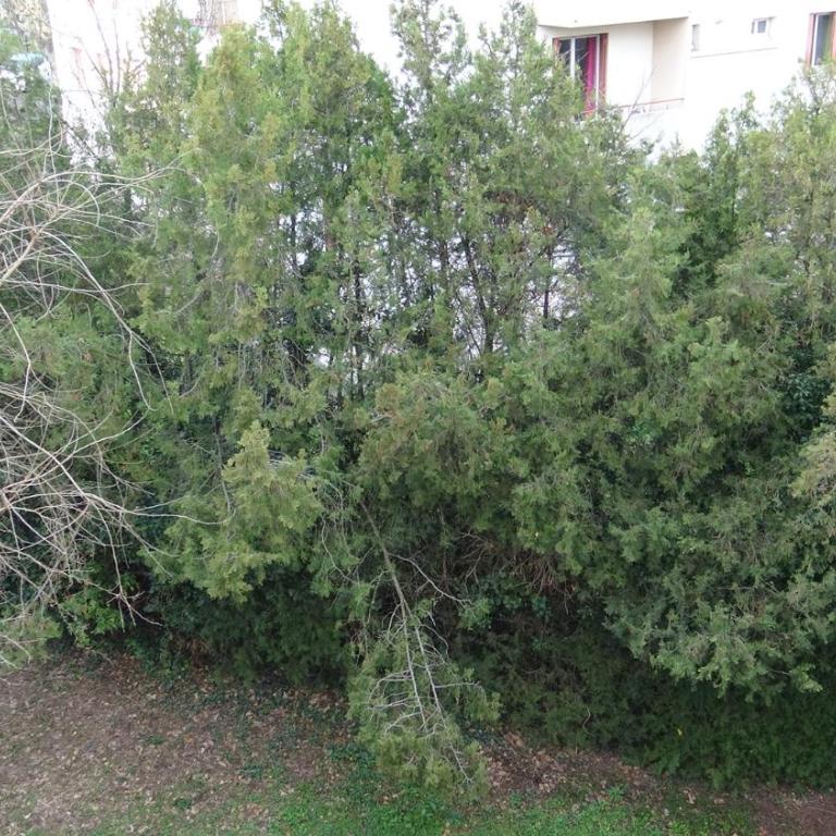 Appartement T3-4 meublé Toulouse Soupetard - Appartement 2 Chambres - 18