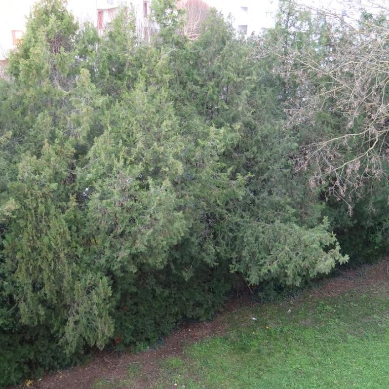 Appartement T3-4 meublé Toulouse Soupetard - Appartement 2 Chambres - 19