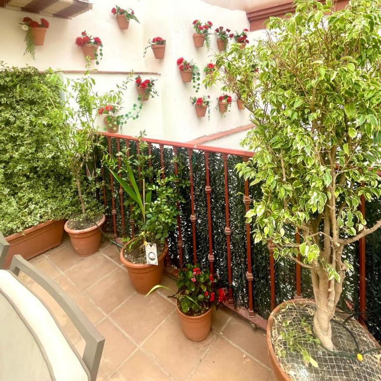 Maravilloso apartamento céntrico de 70m2, jardín propio 40m2 con piscina para niños y parking opcional - Apartamento de 1 dormitorio - 32