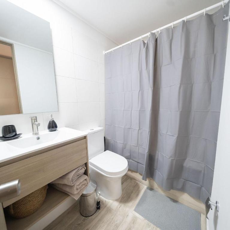 Paseo Bulnes Parque almagro palacio la moneda - Apartamento - 20