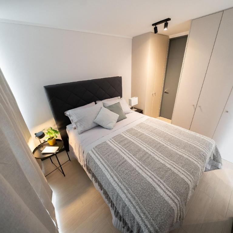 Santiago Centro a pasos de Palacio La moneda paseo bulnes - Apartamento - 18