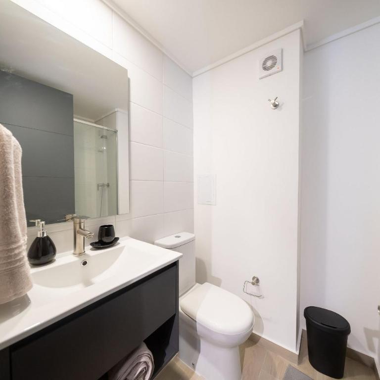Santiago Centro a pasos de Palacio La moneda paseo bulnes - Apartamento - 21