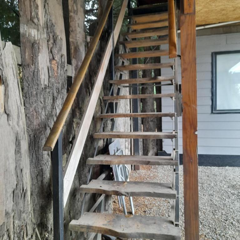 Pueblo Patagonia - Apartamento Estándar - 9