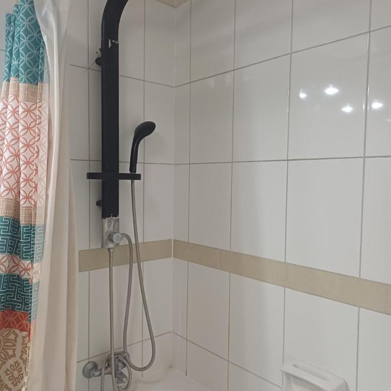Fully Equipped Apartment in Historic Downtown Santiago - One-Bedroom Apartment - 4