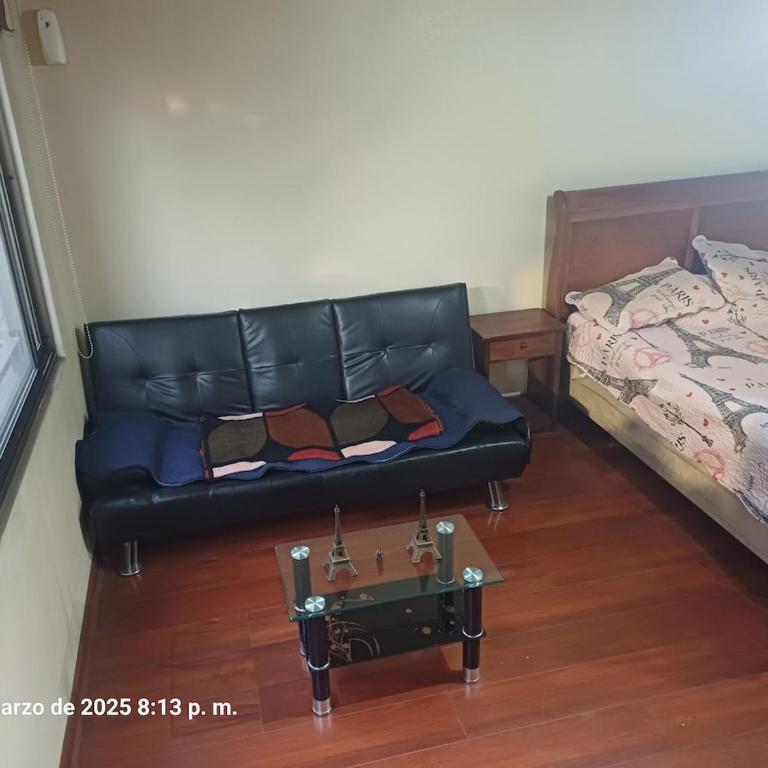 Fully Equipped Apartment in Historic Downtown Santiago - One-Bedroom Apartment - 7