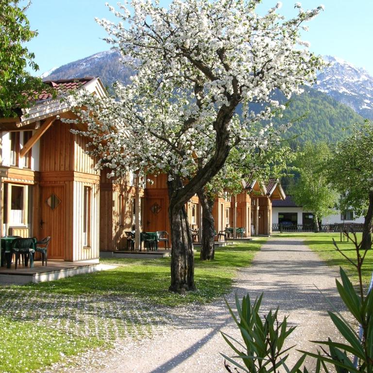Alpencamp Kärnten - Glamping-Chalet - 3