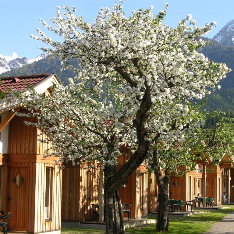 Alpencamp Kärnten - Glamping-Chalet - 5