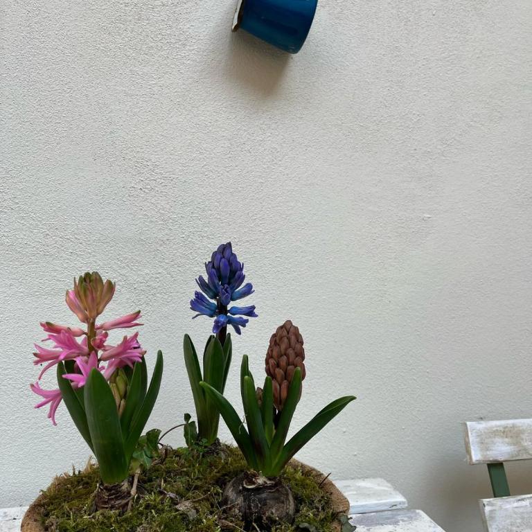 Il cortiletto sotto la Mole - One-Bedroom Apartment - 34