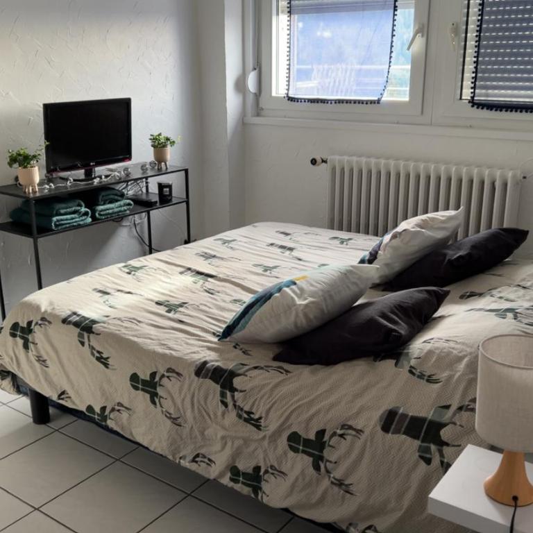 Appartement sur les hauteurs de Gérardmer - Appartement avec Vue sur la Montagne - 5