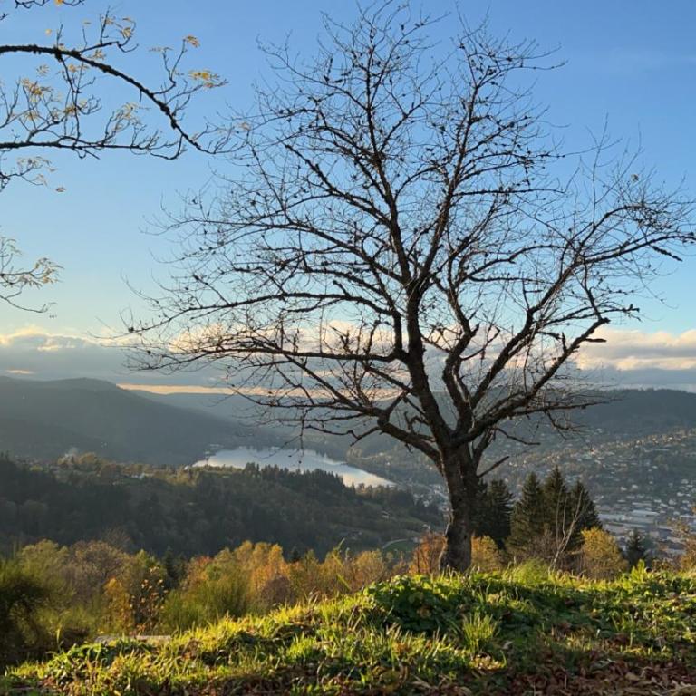 Appartement sur les hauteurs de Gérardmer - Appartement avec Vue sur la Montagne - 19
