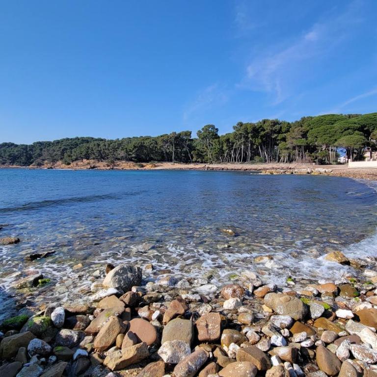 Joli T2 climatisé bord de mer tout équipé - Apartment mit 1 Schlafzimmer - 22