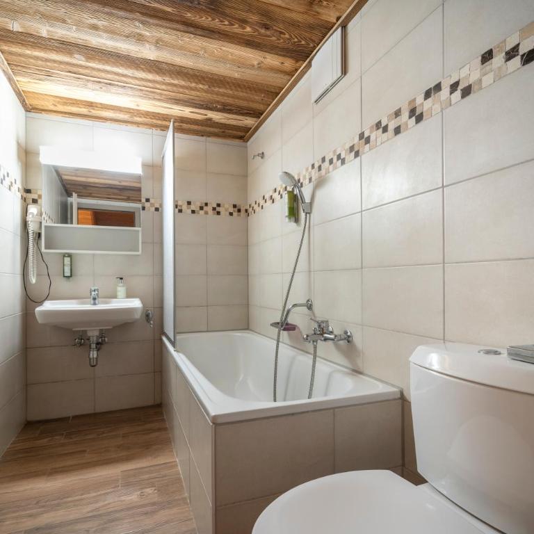 Hôtel Le Grand Chalet - Junior Familiensuite im Chalet mit Balkon und Bergblick - 3