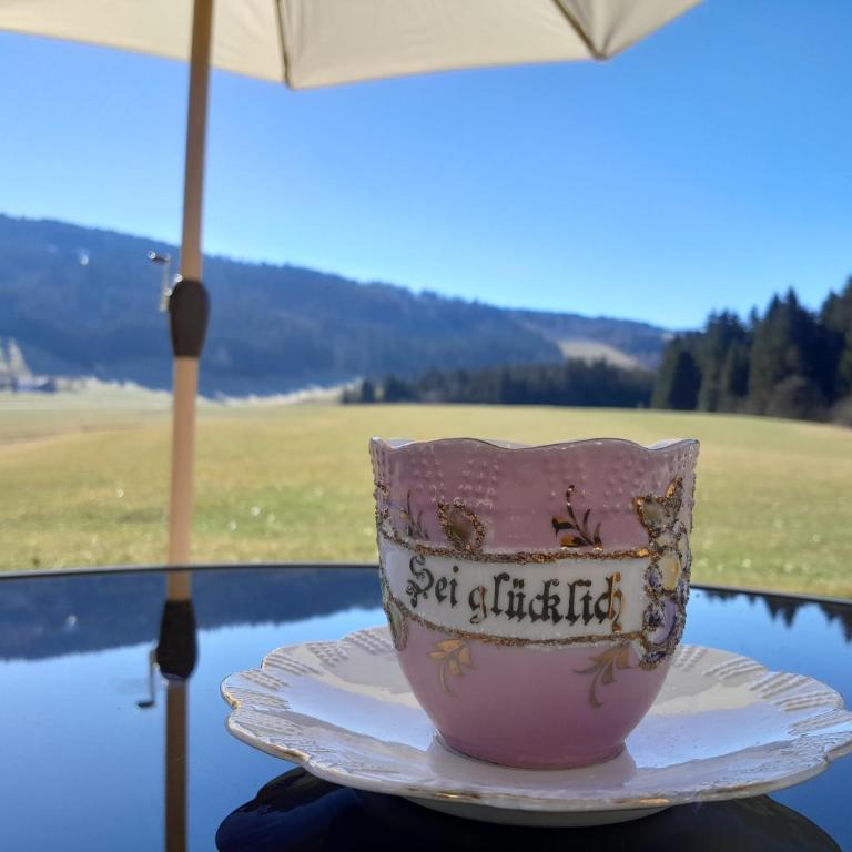 Neueröffnung, 2 wunderschöne Ferienwohnungen im Grünen - Apartment mit 2 Schlafzimmern und Terrasse - 4