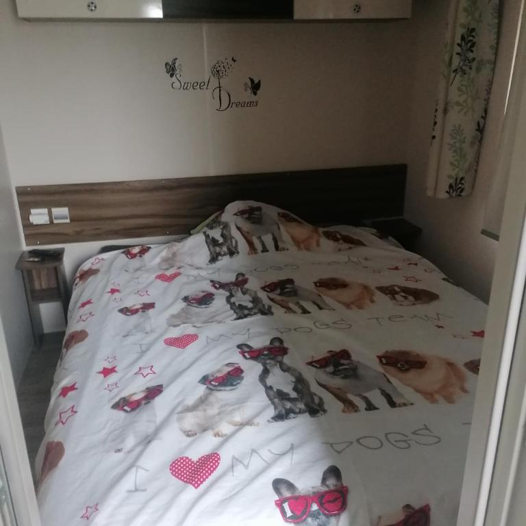 Mobilhome beaux volumes ES40 - Mobile Home - 12