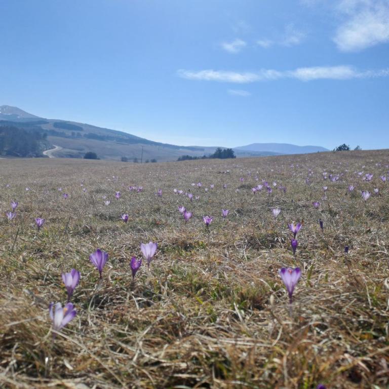 Moj Horizont - Apartman sa 1 Spavaćom Sobom - 15