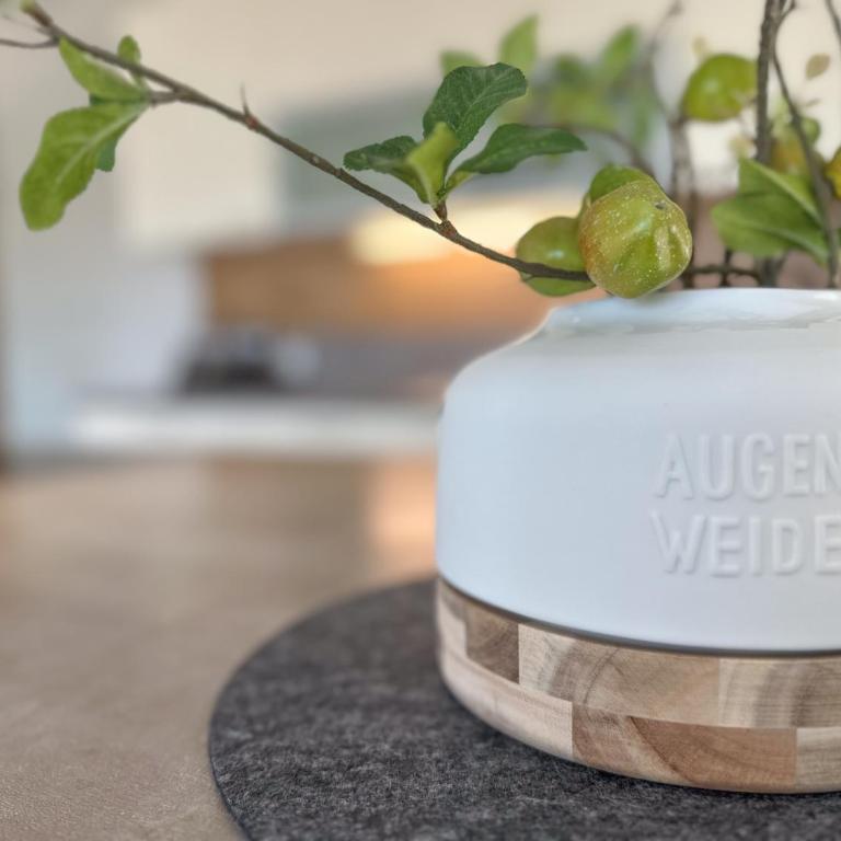 Duo - ONE & TWO, Premium Apartments Seekirchen - Apartment - 12