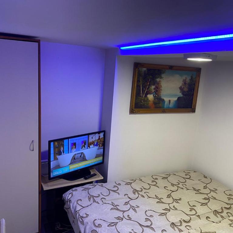 Apartment Lux Belgrade - Dupleks Apartman - 12