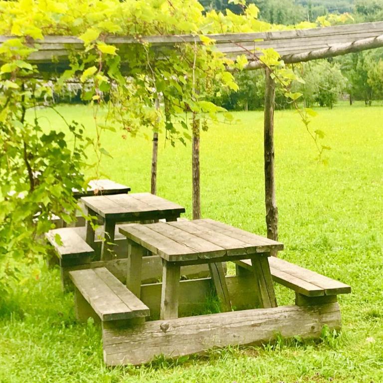 Prabione Antico Borgo Prabiu Appartement Leccino - Appartamento - 35