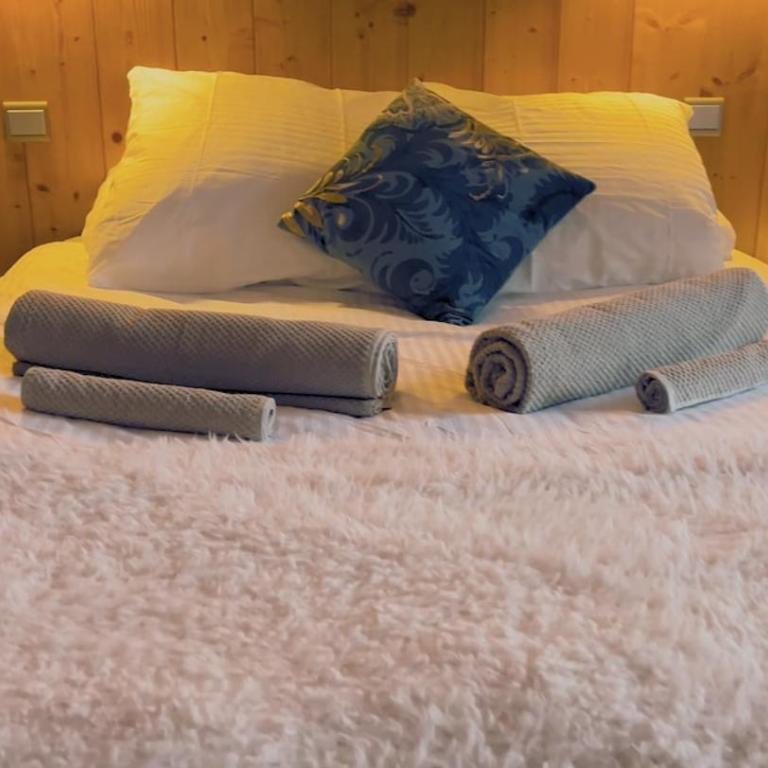 Parenthèse Blanche - Au pied des pistes Paradiski - Appartamento con 2 Camere da Letto - 7