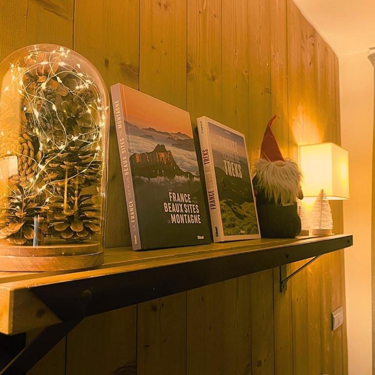 Parenthèse Blanche - Au pied des pistes Paradiski - Appartamento con 2 Camere da Letto - 21