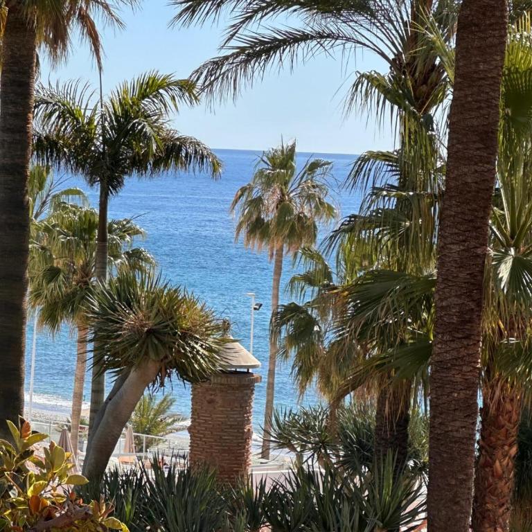 Apartamento Nerja S J - Apartamento de 1 dormitorio - 1