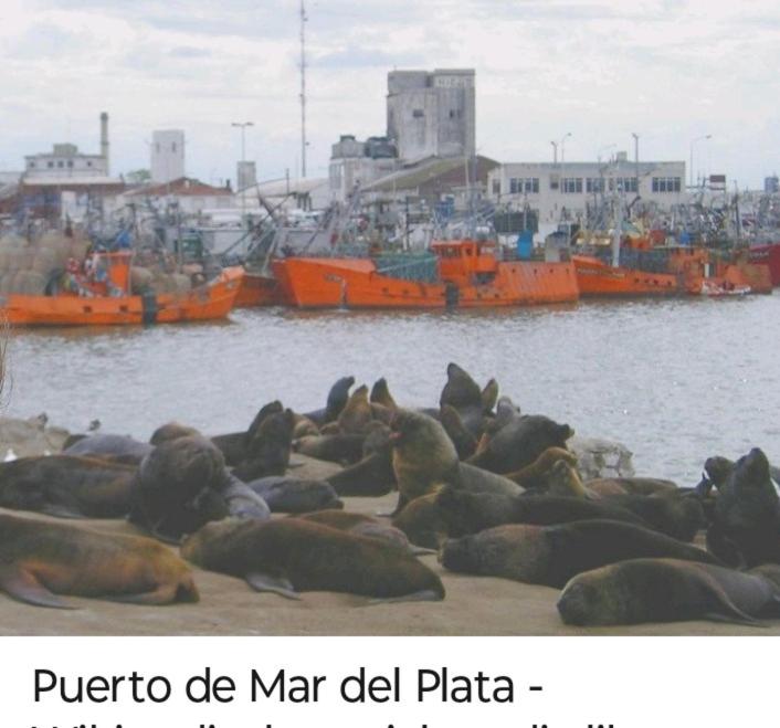 Casa alpino cerca del mar!!!!! - Casa de 2 dormitorios - 71