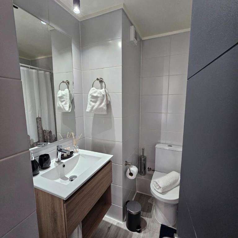 HOM I Nuevo y Moderno Depto 1D1B en Santiago Centro - Apartamento - 17