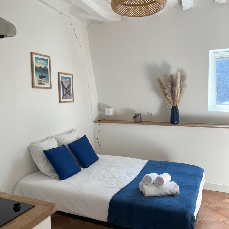 Studio Centre Angers 2 personnes - Apartment mit 1 Schlafzimmer - 1