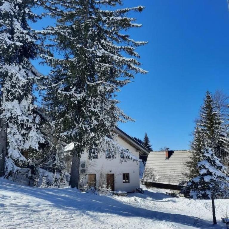 Apartmani Jahorinka - Porodični Apartman sa 2 Spavaće Sobe - 1