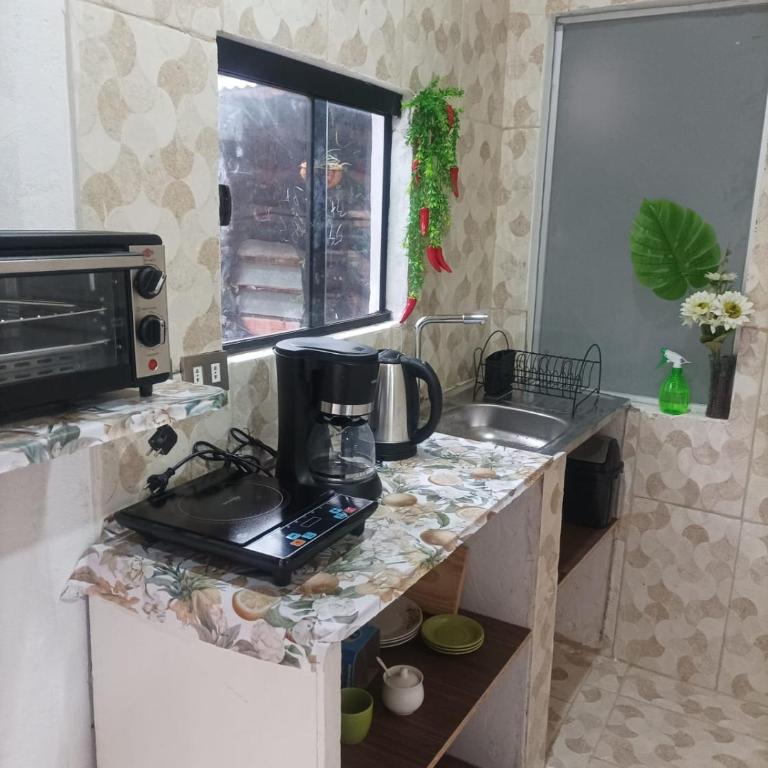 Miraflores 1- The greenhouse - One-Bedroom Apartment - 4