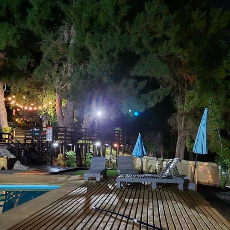 Cabañas Alto Quillay, radal siete tasas - Two-Bedroom Chalet - 27