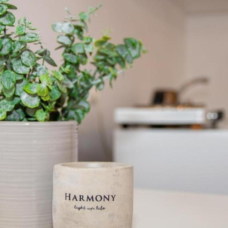 Apartments Aicha - One-Bedroom Apartment - 8