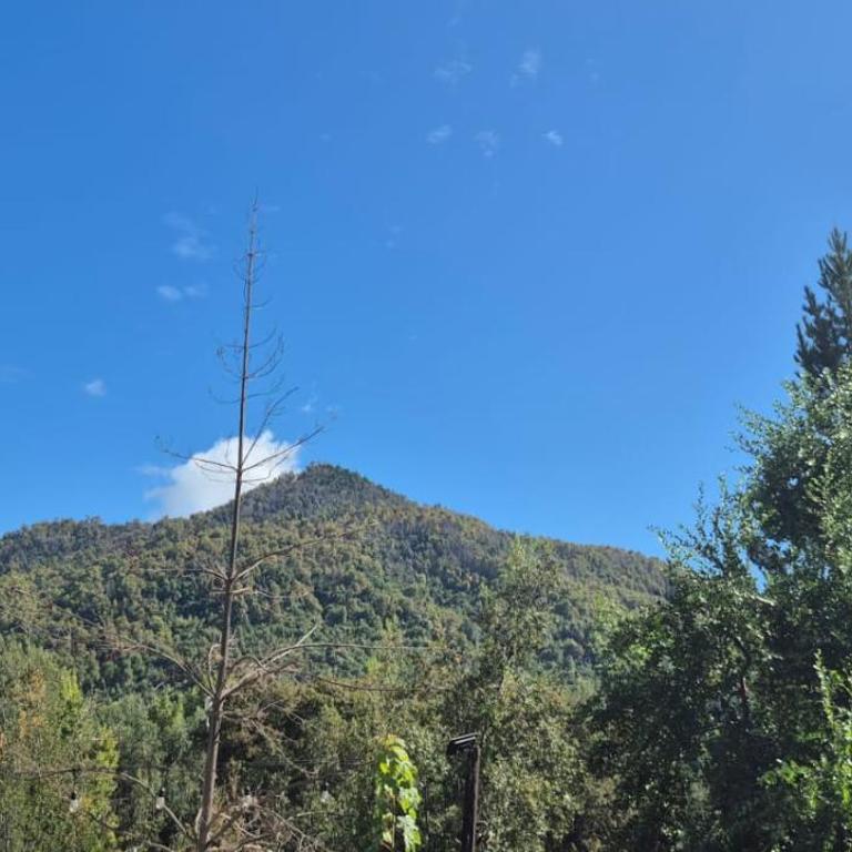 Cabañas Alto Quillay, radal siete tasas - Chalet de 3 dormitorios - 16
