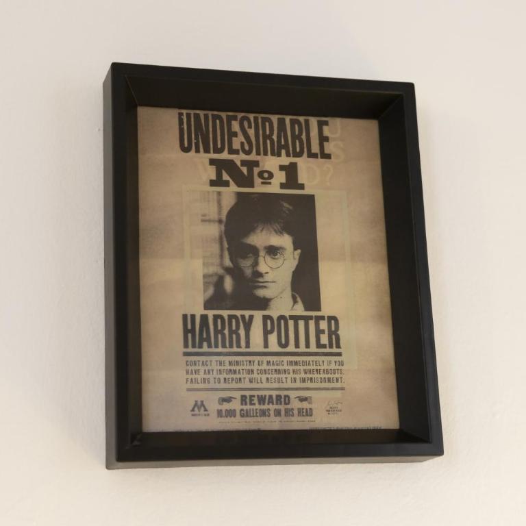 Casa Harry Potter - Appartamento con 1 Camera da Letto - 3