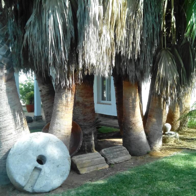 El Olivar de Roche Viejo - Casa con 1 dormitorio - 39