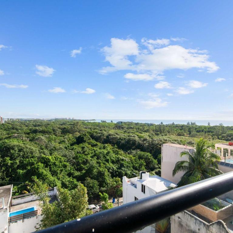 Suite Jungle Studio with Views Walk Everywhere - Estudio - 4