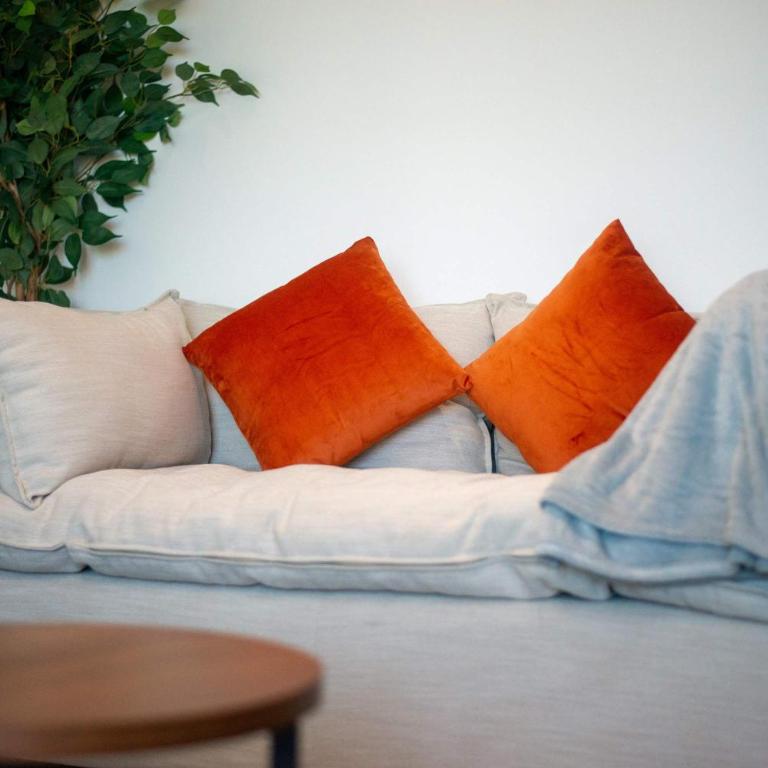 Suite Jungle Studio with Views Walk Everywhere - Estudio - 32