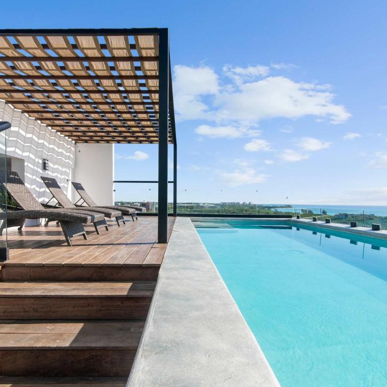 Suite Jungle Studio with Views Walk Everywhere - Estudio - 1
