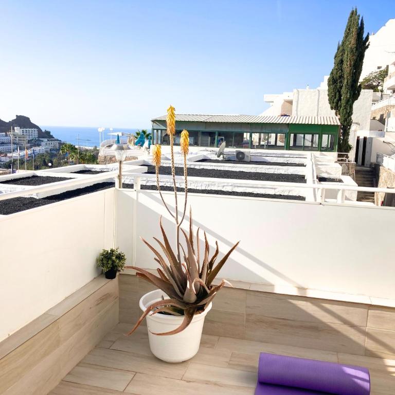 Arimar Solare - Apartamento de 1 dormitorio - 9