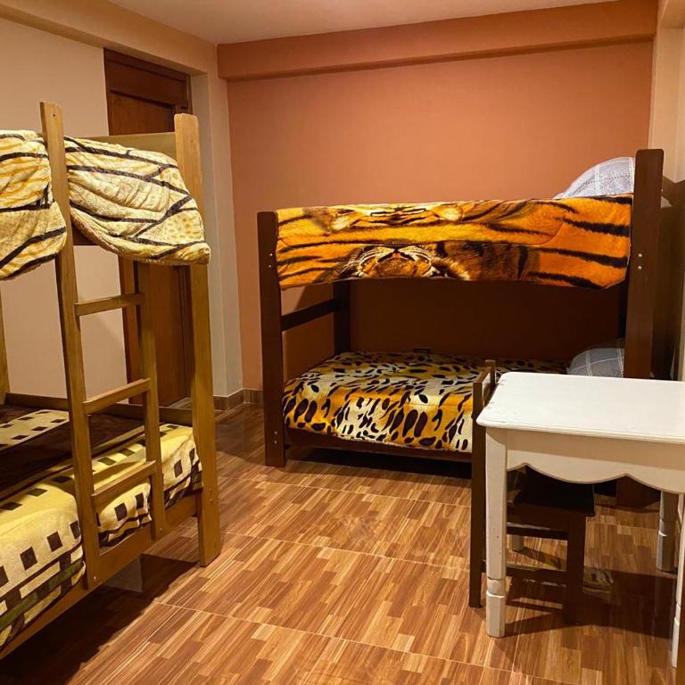 Aventura Chachapoyas Backpackers - Deluxe Quadruple Room - 3