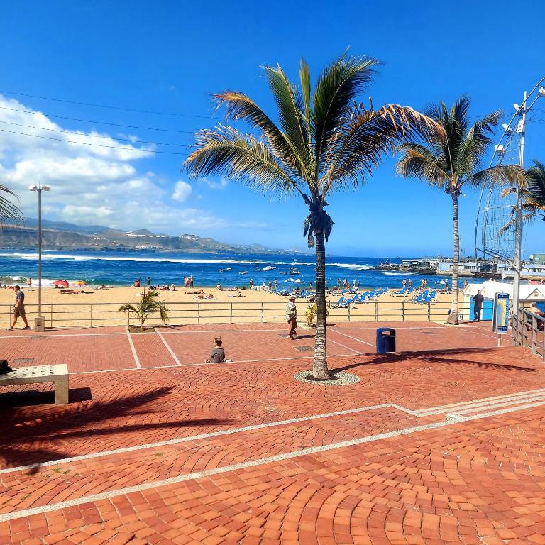 Casa Canteras Don Carlos - One-Bedroom Apartment - 24