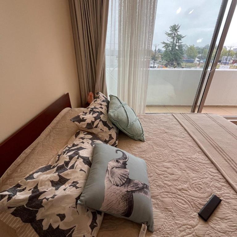 Exclusivo departamento en OSORNO - One-Bedroom Apartment - 3