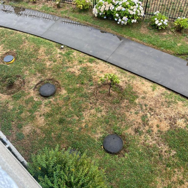 Exclusivo departamento en OSORNO - One-Bedroom Apartment - 4