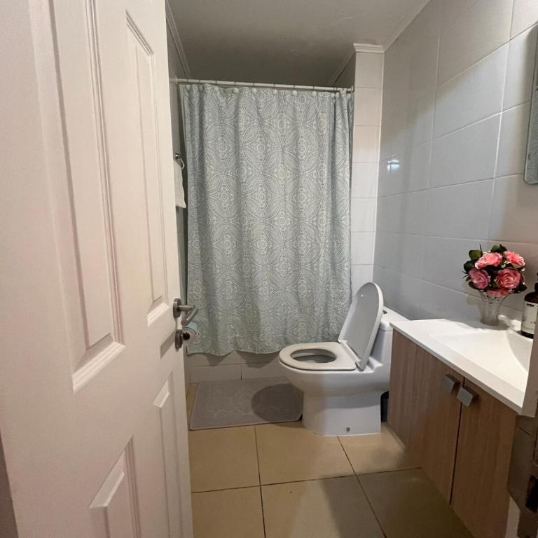 Exclusivo departamento en OSORNO - One-Bedroom Apartment - 5