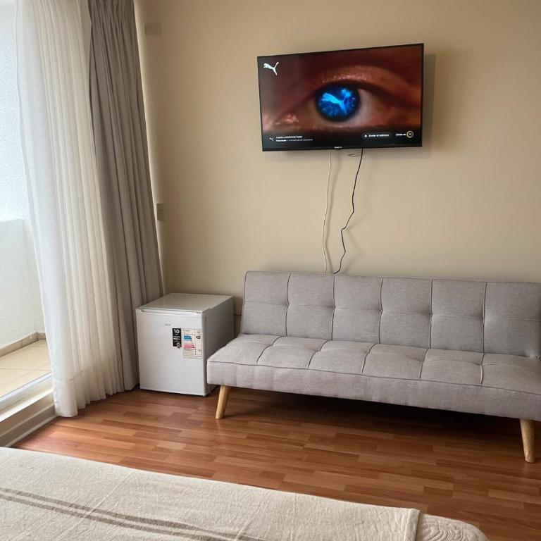 Exclusivo departamento en OSORNO - One-Bedroom Apartment - 18