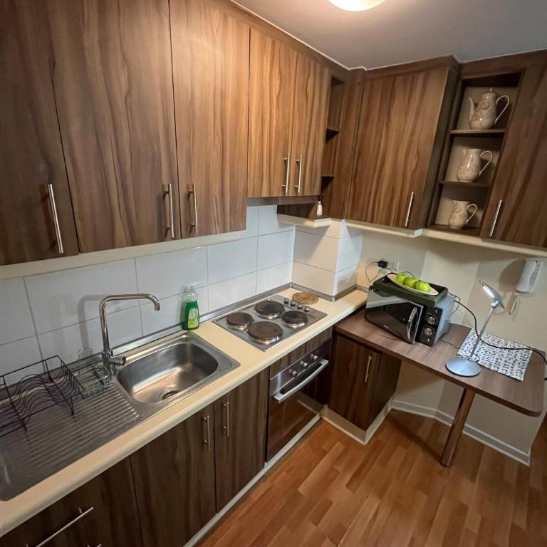 Exclusivo departamento en OSORNO - One-Bedroom Apartment - 31