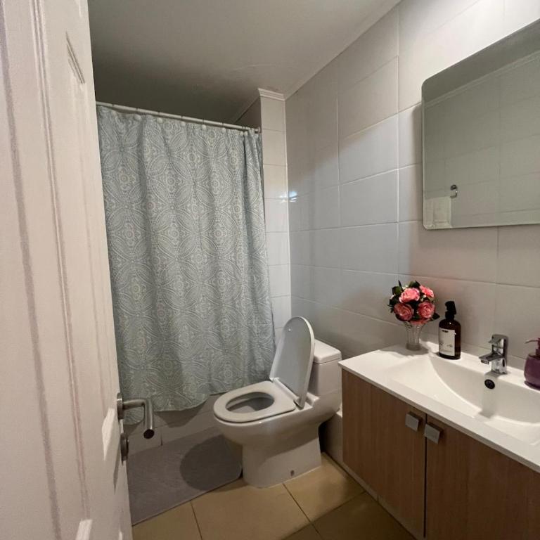 Exclusivo departamento en OSORNO - One-Bedroom Apartment - 32